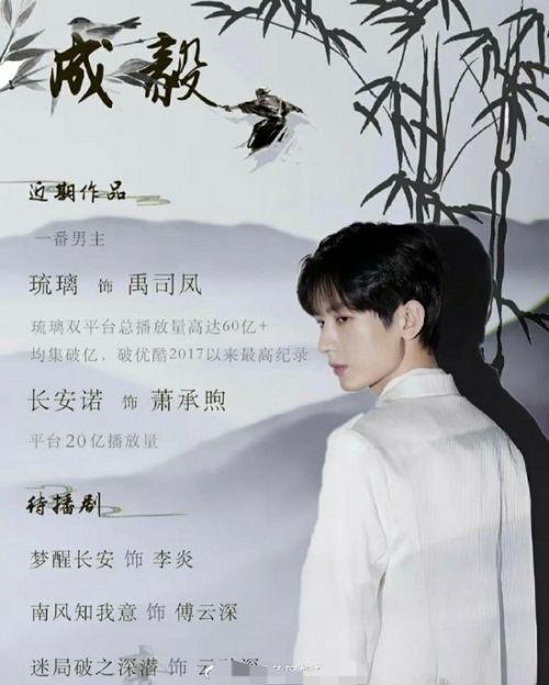 娱乐圈吃瓜成毅是谁啊  第2张